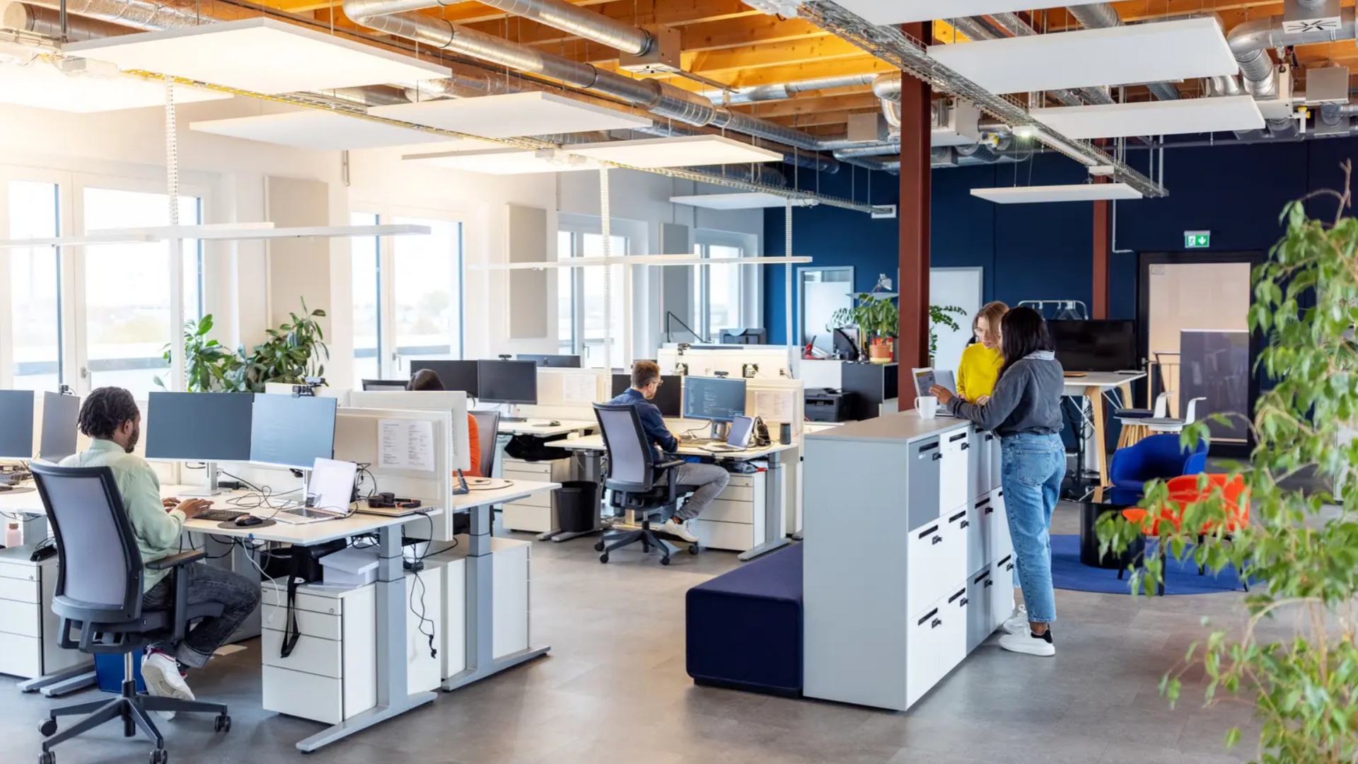 office design تصميم المكتب