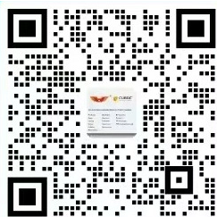 crop_1740385915327